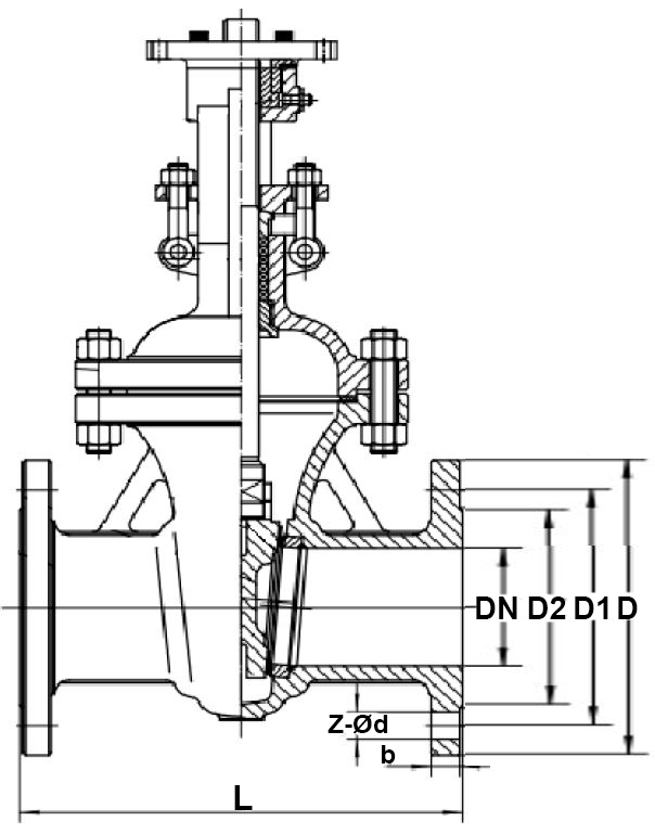Задвижки клиновые DN.ru GVWR2434M-2W-F Ду50-300 Ру16 фланцевые, с выдвижным шпинделем, корпус - сталь 12Х18Н9ТЛ, уплотнение - METAL, под электропривод