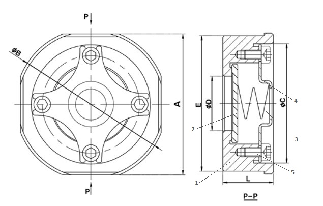 Клапан обратный Tecofi CA6469 1’’1/2 Ду40 Ру40 осевой, межфланцевый, корпус — сталь